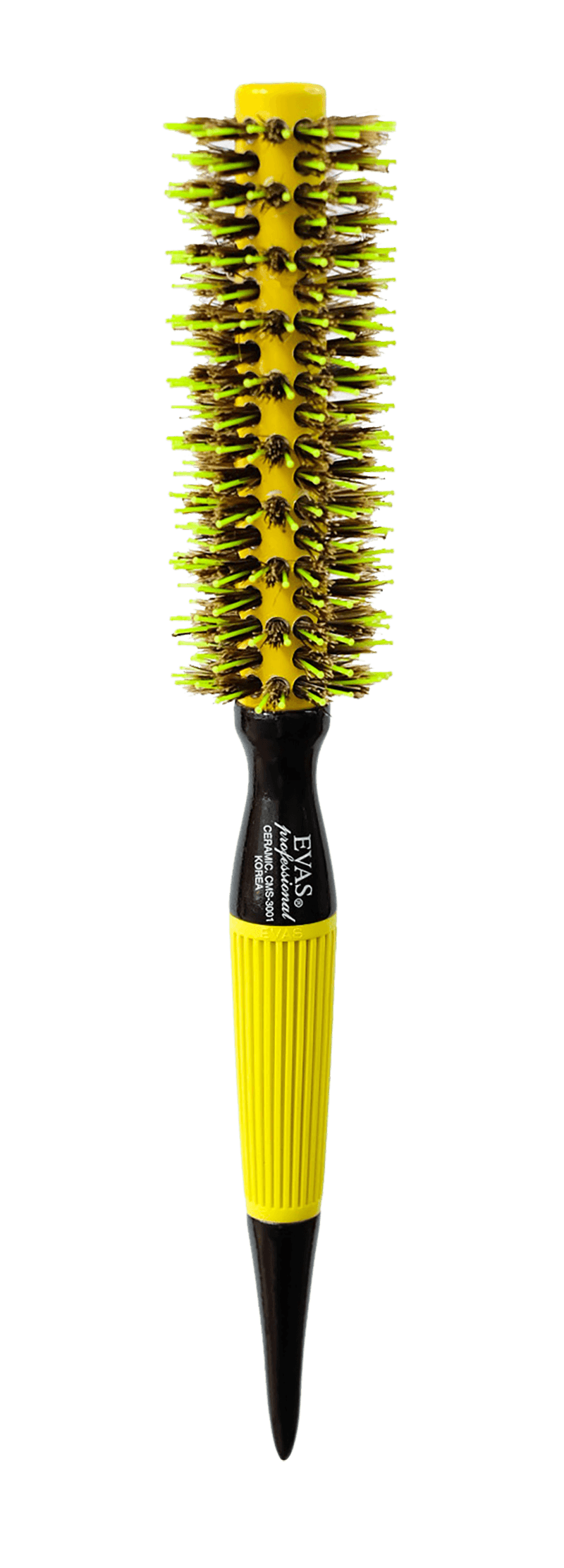 Evas CMS 3001