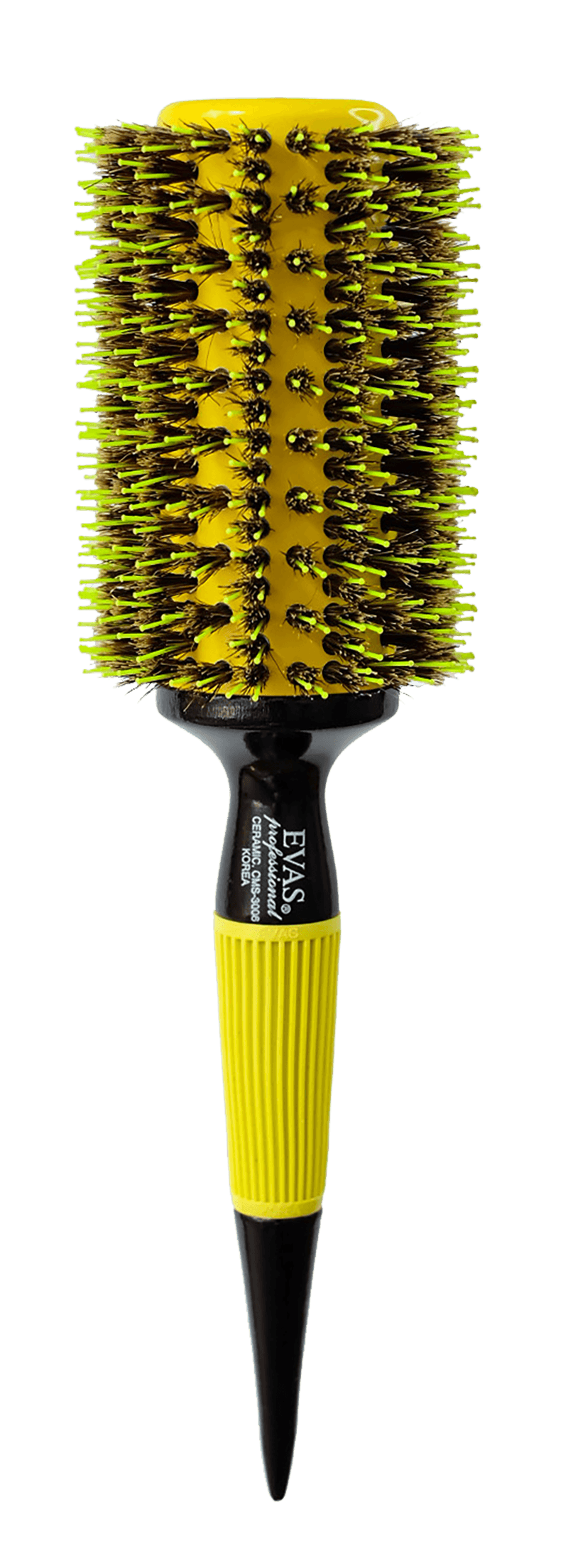 Evas CMS 3006